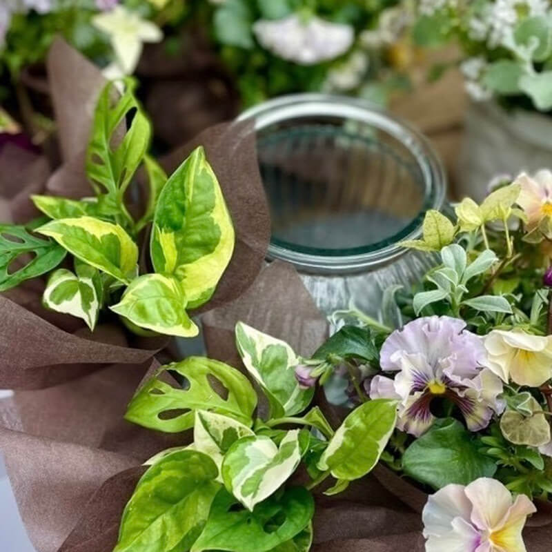 green flowers