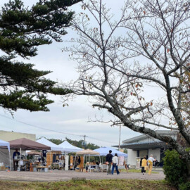 会場の様子 2024年の様子