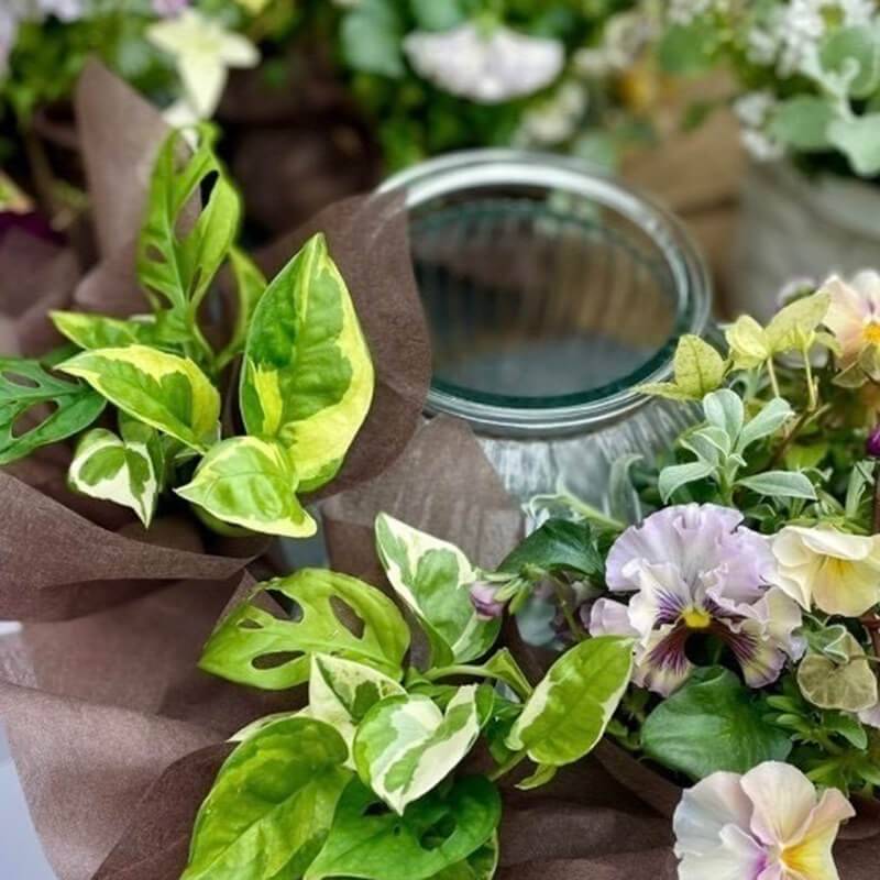 green flowers