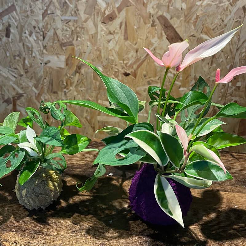 green flowers